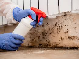 Why You Should Choose Our Mold Remediation Services in Grant, AL